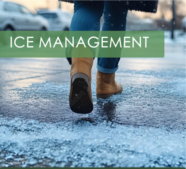 Snow Removal in Victoria, BC, Snow Removal in Langford, BC